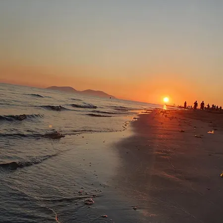 Gray Vlorë