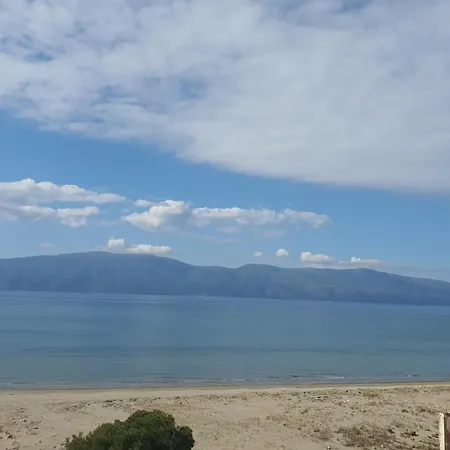 Gray Vlore